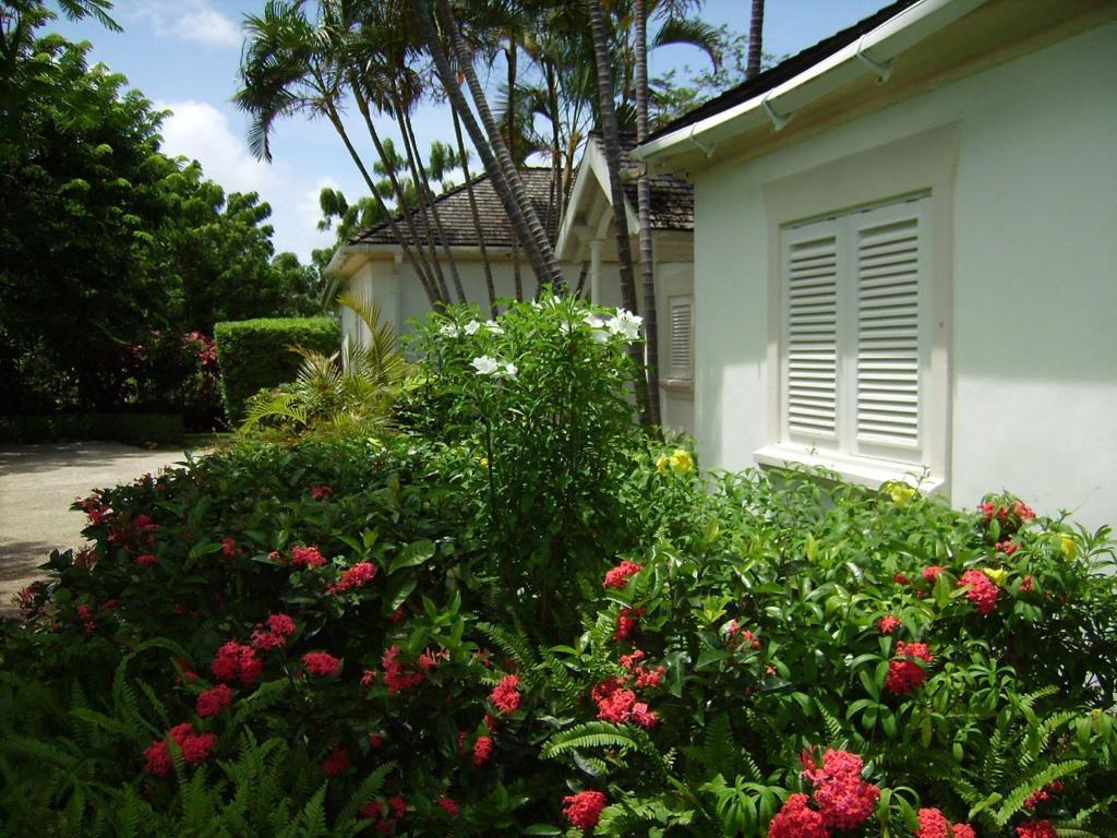 Coconut Grove 1, Luxury Villa By Island Villas Saint James Kamer foto