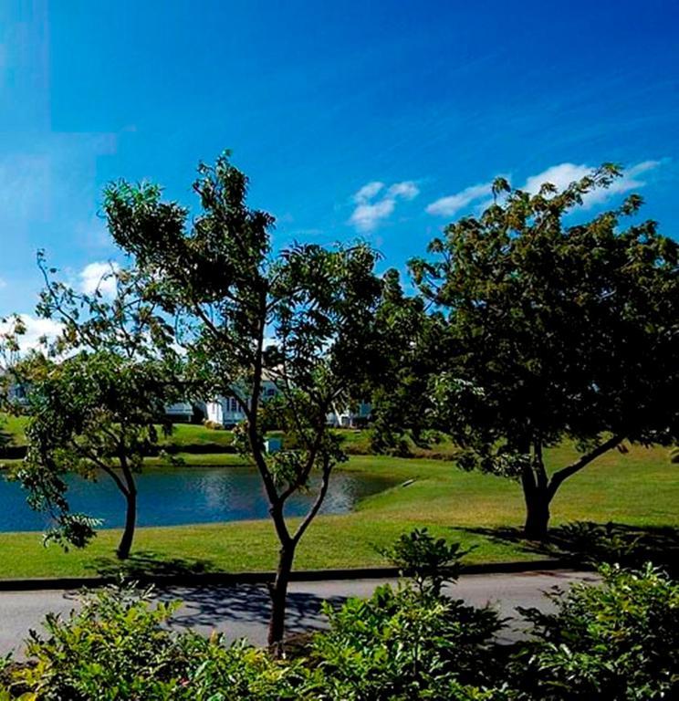 Coconut Grove 1, Luxury Villa By Island Villas Saint James Buitenkant foto